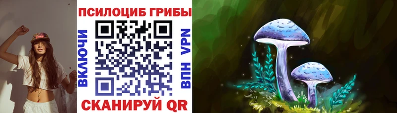 KRAKEN как зайти  дарнет шоп  Астрахань  Псилоцибиновые грибы мухоморы 